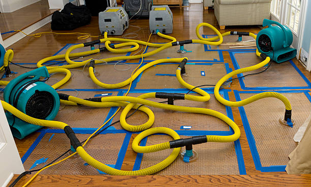Professional Storm Water Damage Restoration technician working in Springdale, MD
